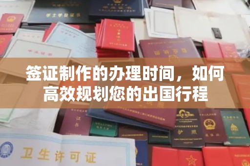 阿拉山口签证制作的办理时间，如何高效规划您的出国行程